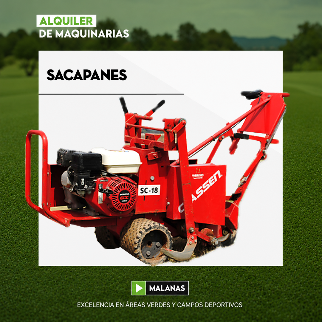 MAQ WEB (5)